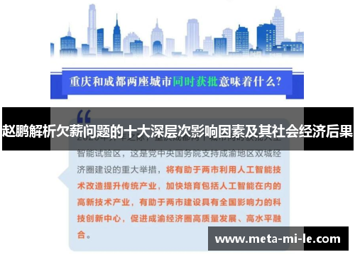 赵鹏解析欠薪问题的十大深层次影响因素及其社会经济后果