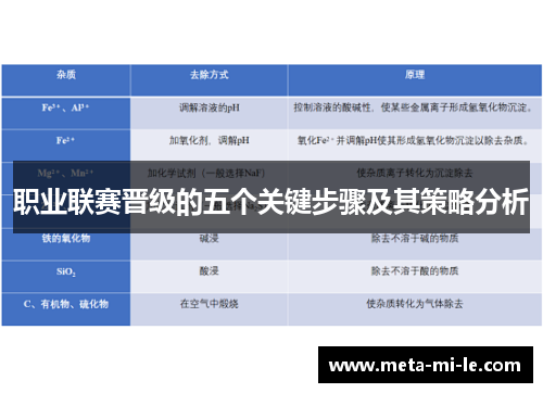 职业联赛晋级的五个关键步骤及其策略分析