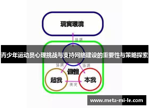 青少年运动员心理挑战与支持网络建设的重要性与策略探索